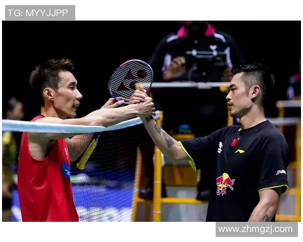 林丹对决背后的羽毛球巅峰之路与竞技精神探讨