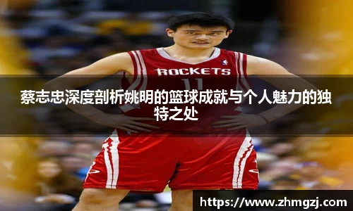 蔡志忠深度剖析姚明的篮球成就与个人魅力的独特之处